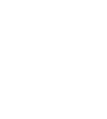 alt text here